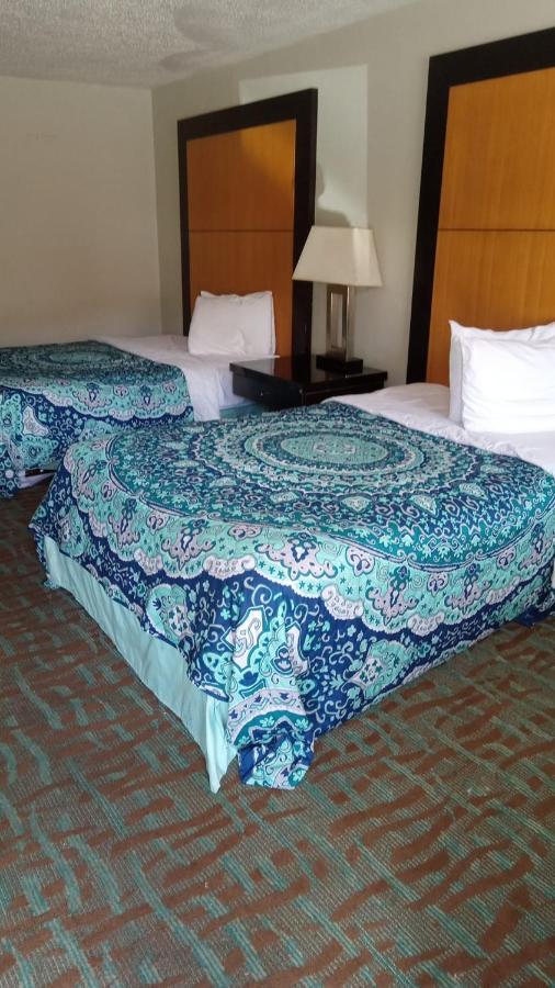APM Inn&Suites - Jacksonville Extérieur photo
